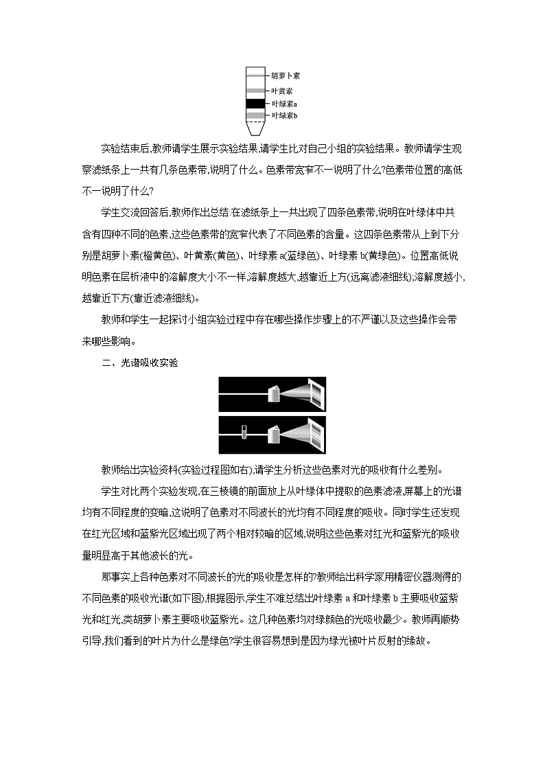 高中生物 第5章 第4节一捕获光能的色素和结构 教案2第3页