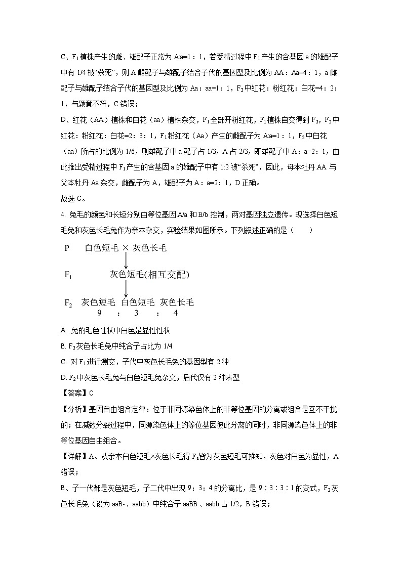 山西省临汾市部分学校2024-2025学年高一下学期期中考试生物试卷（解析版）第3页