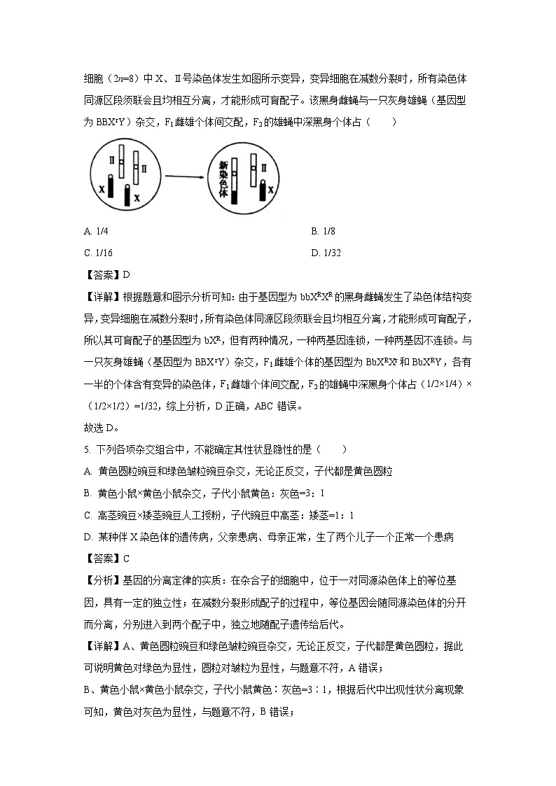 山东省德州市九校联考2023-2024学年高一下学期4月月考生物试卷（解析版）第3页