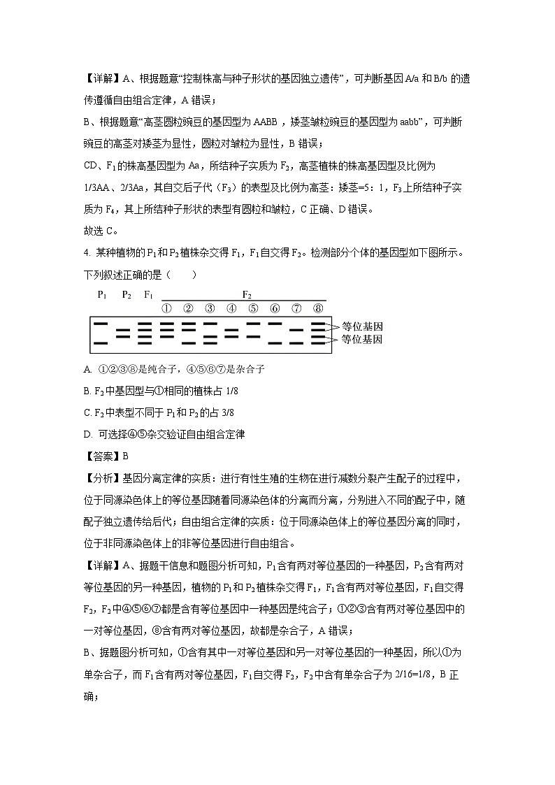 河南省部分学校2024-2025学年高一下学期4月质量检测（期中）生物试卷（解析版）第3页