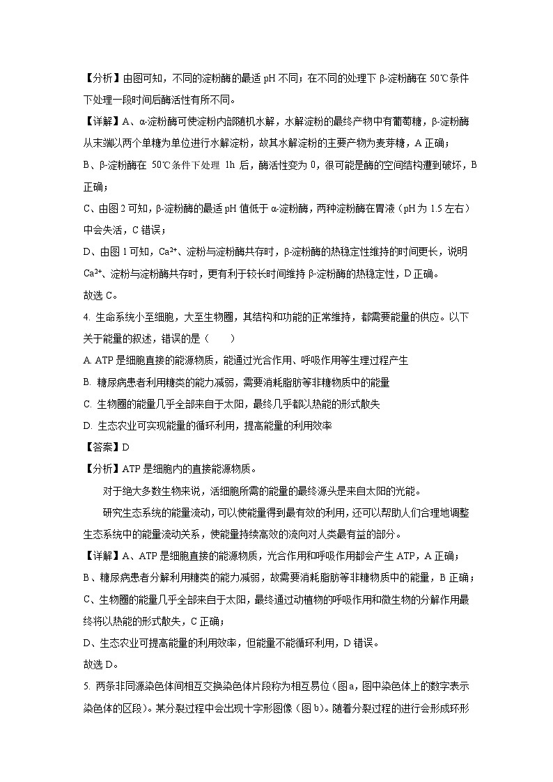 河南省信阳市商城县2025届高三二模生物生物试卷（解析版）第3页