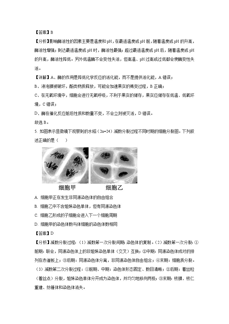 河南省省2025届高三下学期青桐鸣联模拟预测生物试卷（解析版）第3页