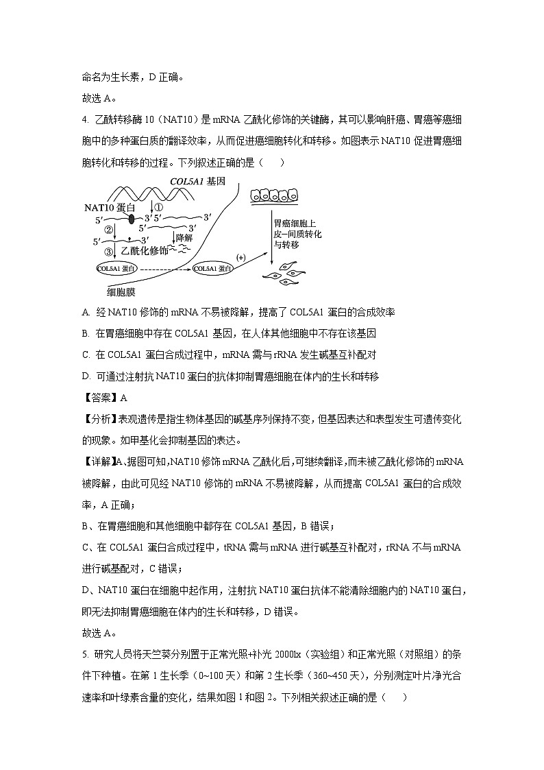 河南省名校学术联盟2025届高三下学期模拟冲刺（一）生物试卷（解析版）第3页
