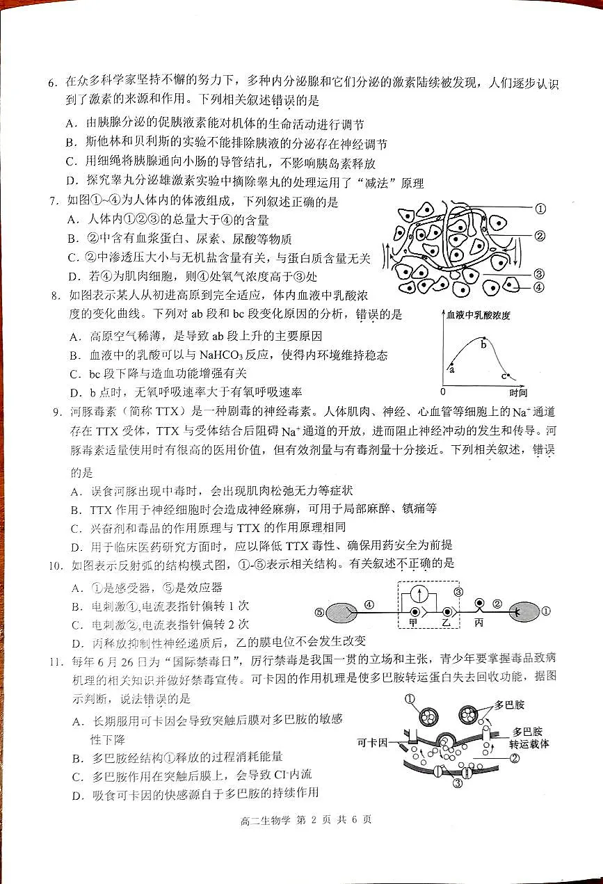 广西壮族自治区河池市十校联考2024-2025学年高二上学期10月月考生物试题第2页