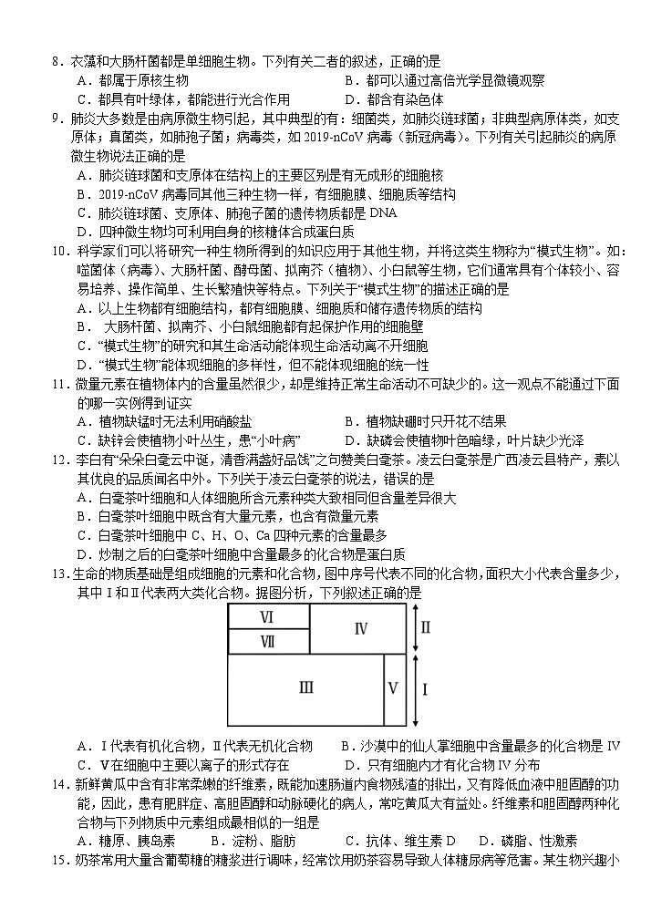 广西壮族自治区南宁市兴宁区南宁市第三中学2024-2025学年高一上学期10月月考生物试题第2页