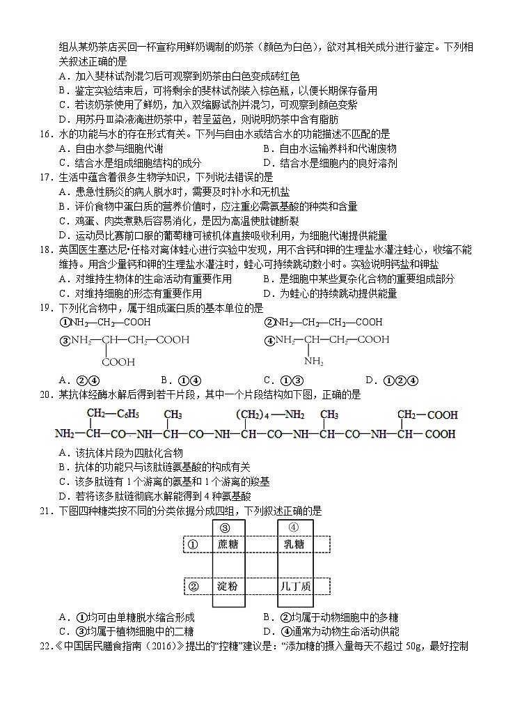 广西壮族自治区南宁市兴宁区南宁市第三中学2024-2025学年高一上学期10月月考生物试题第3页