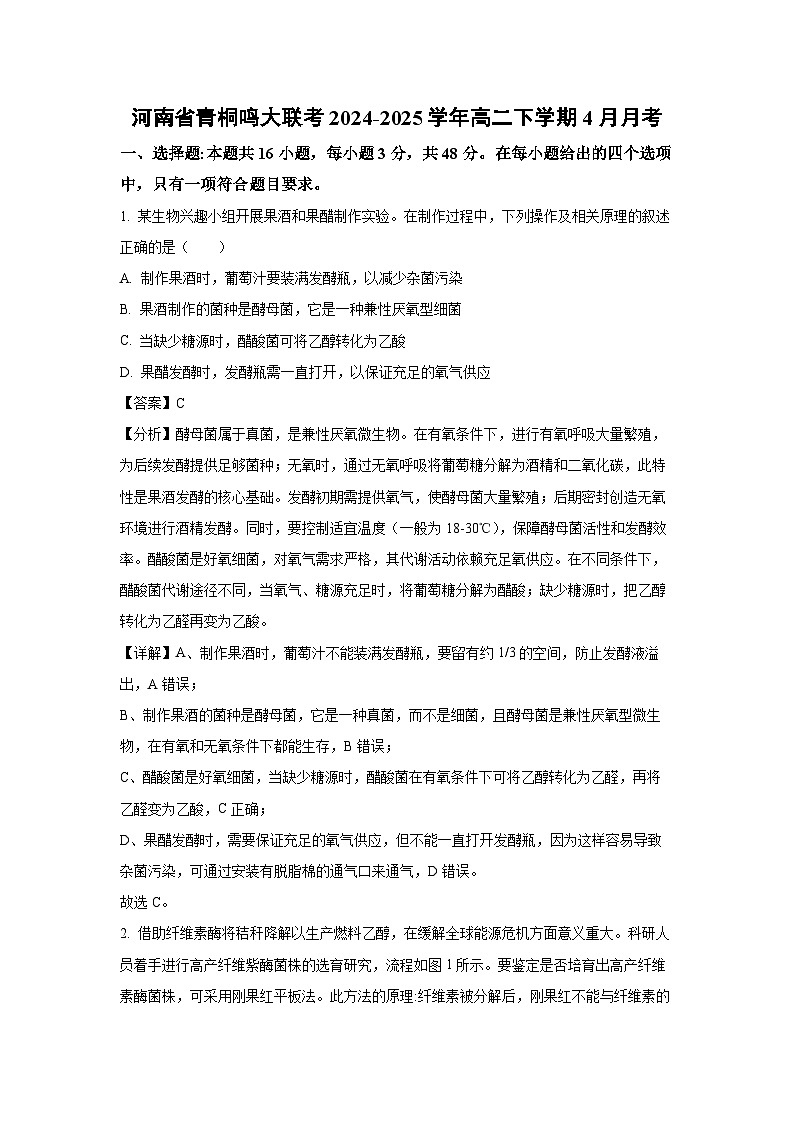 河南省青桐鸣大联考2024-2025学年高二下学期4月月考生物试卷（解析版）第1页