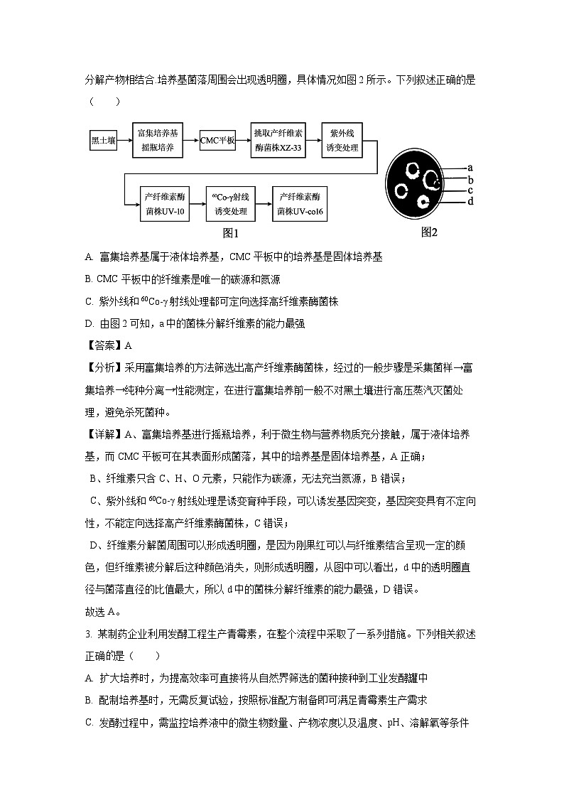 河南省青桐鸣大联考2024-2025学年高二下学期4月月考生物试卷（解析版）第2页