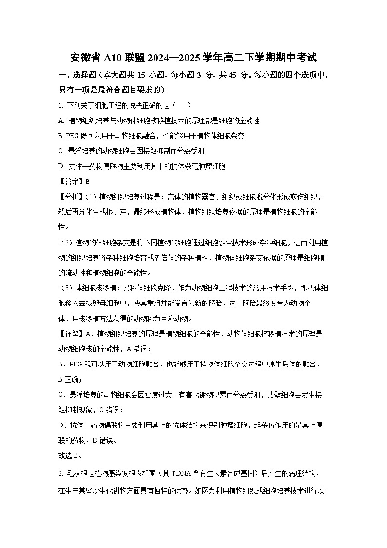 安徽省A10联盟2024—2025学年高二下学期期中考试生物试卷（解析版）第1页
