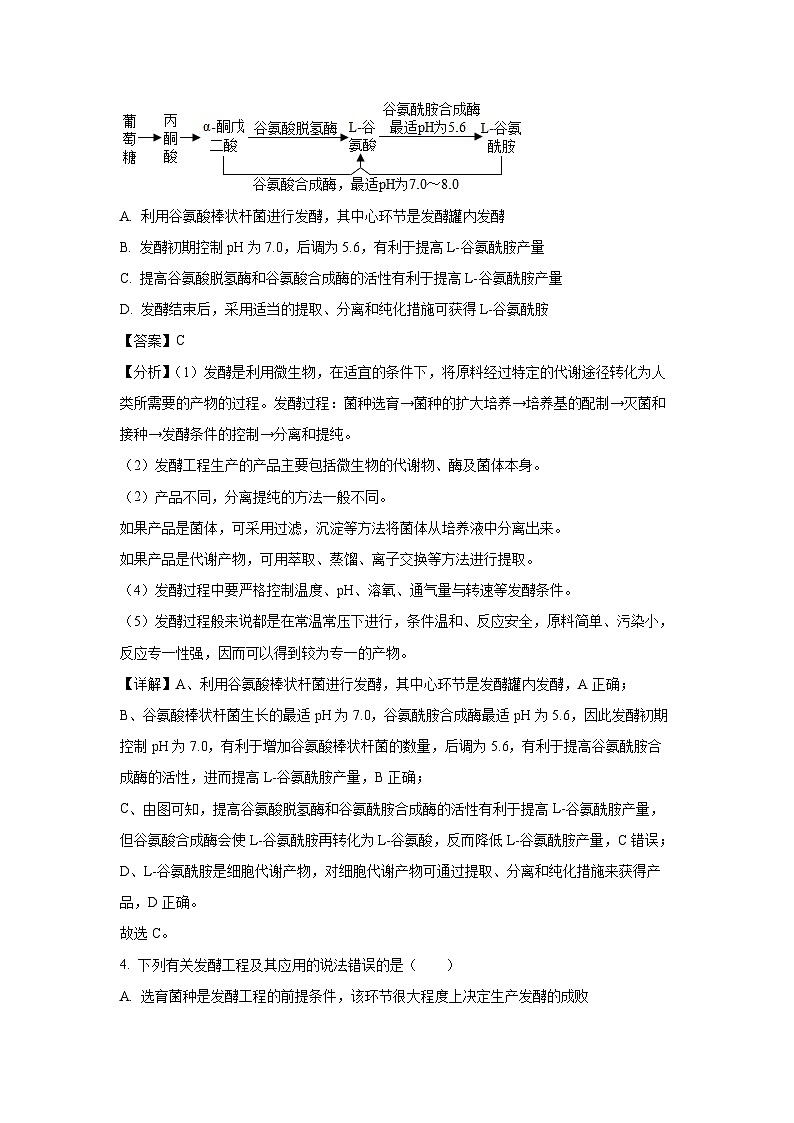 安徽省A10联盟2024—2025学年高二下学期期中考试生物试卷（解析版）第3页