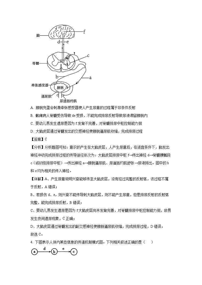 河南省三门峡市2024-2025学年高二上学期1月期末生物试卷（解析版）第3页