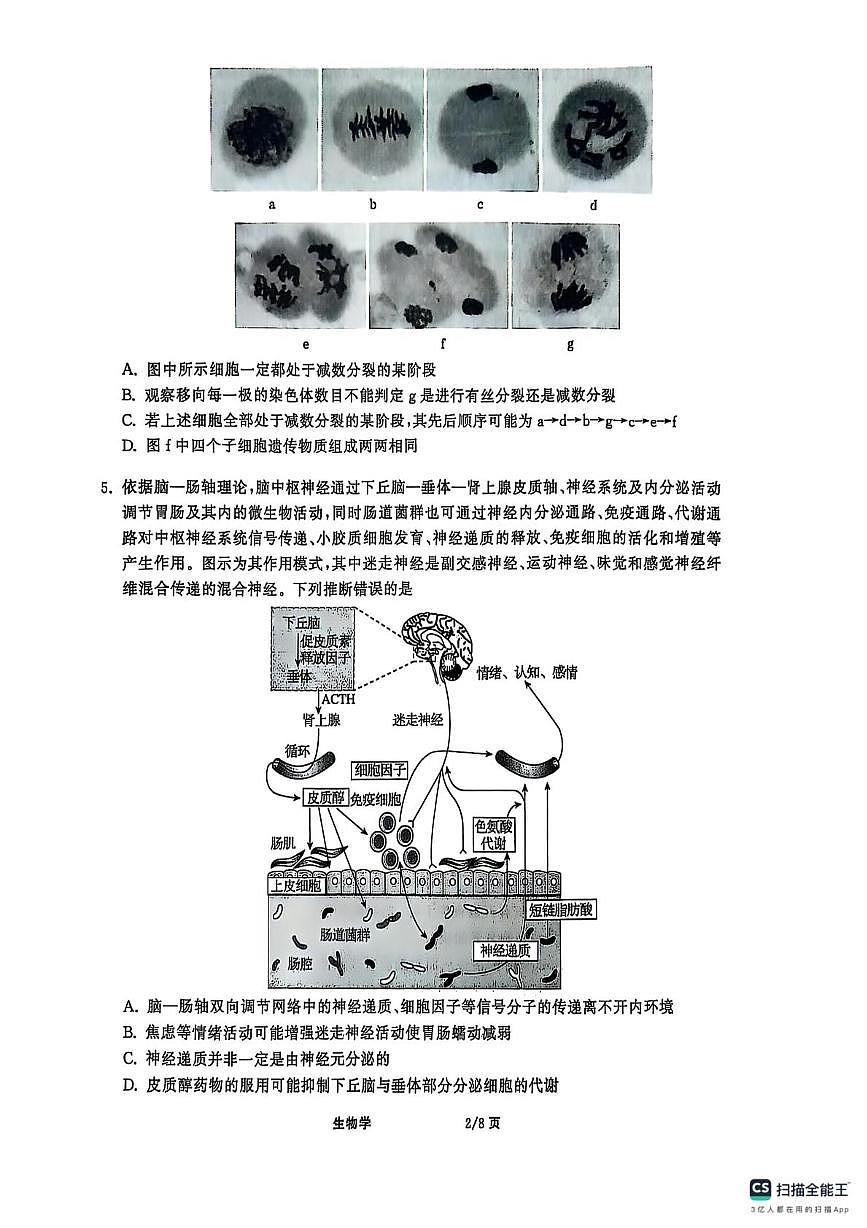 2025届河北省秦皇岛市昌黎第一中学高三下学期考前最后一卷生物学试题（高考模拟）第2页