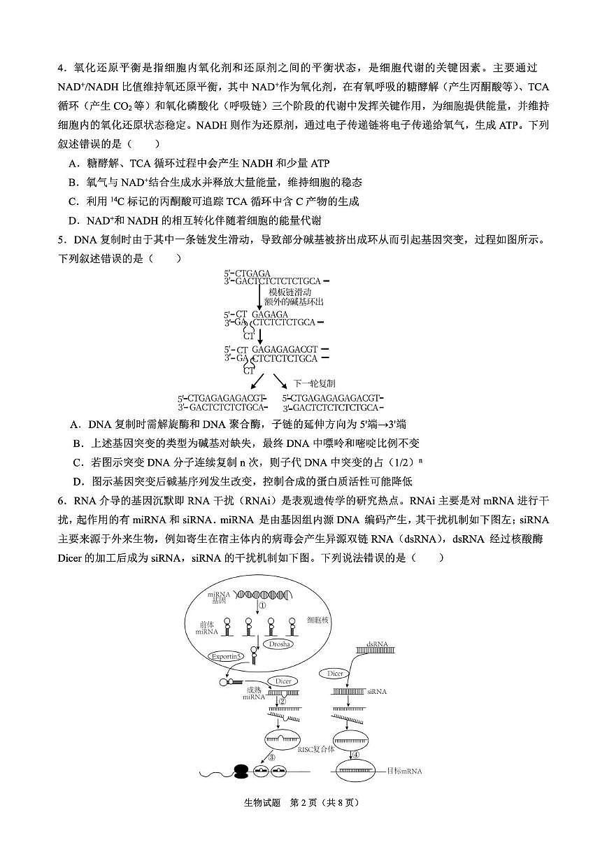 2025届安徽省合肥市第八中学高三下学期保温生物试题（高考模拟）第2页
