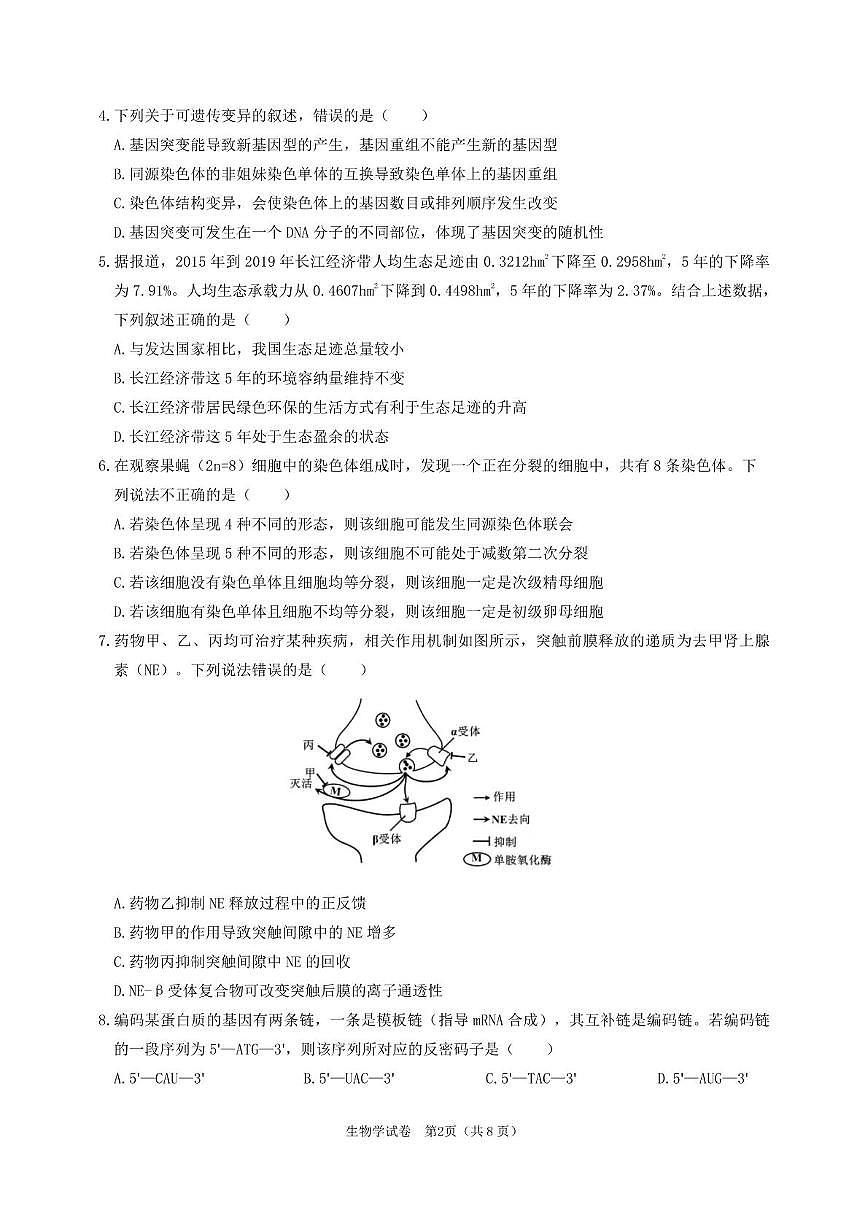 2025届河南省信阳大别山高级中学高三下学期冲刺模拟考试(七) 生物试题（高考模拟）第2页