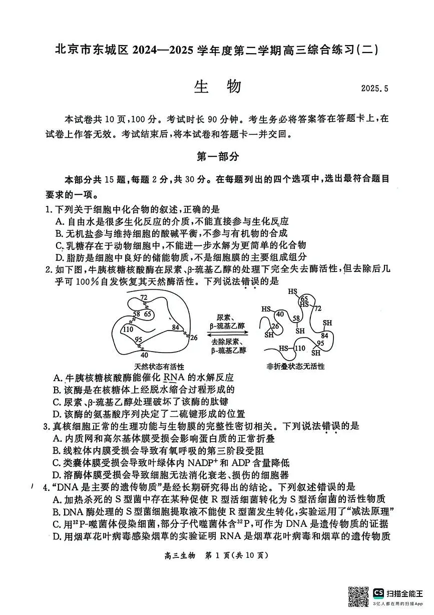 北京市东城区2024-2025学年高三下学期5月综合练习(二) 生物试题（高考模拟）第1页