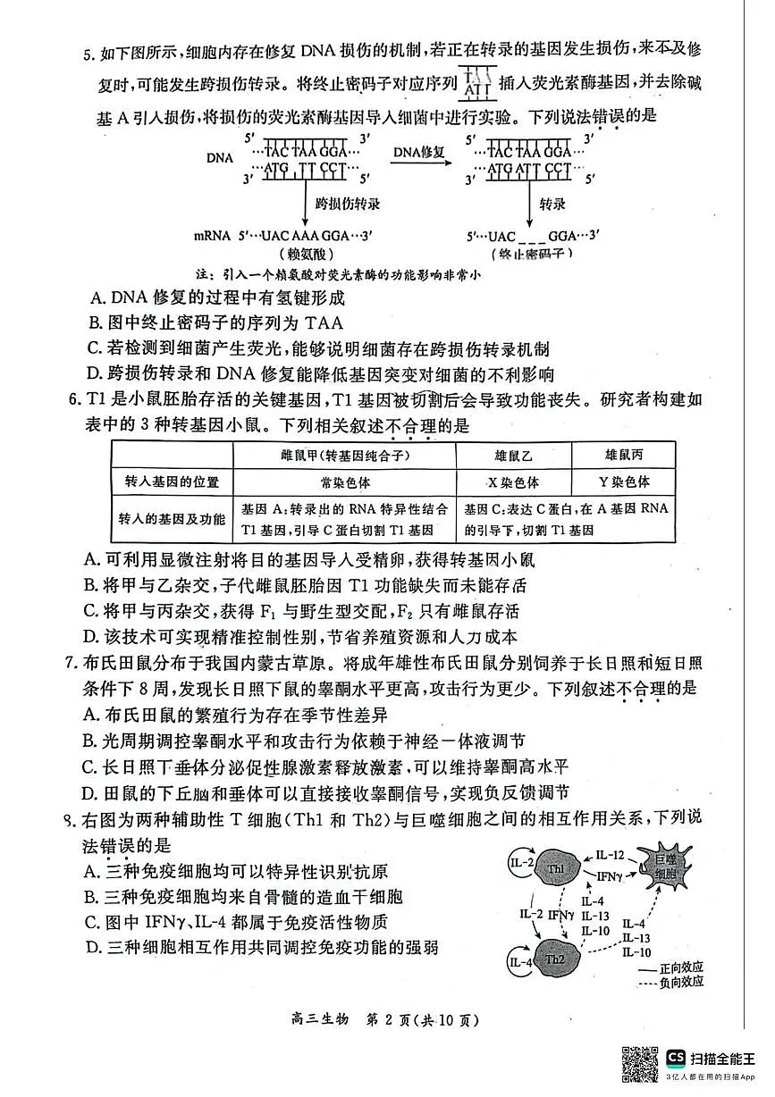北京市东城区2024-2025学年高三下学期5月综合练习(二) 生物试题（高考模拟）第2页