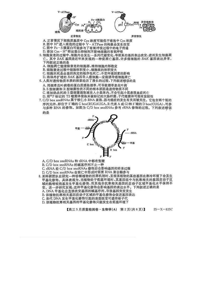 山西省三晋卓越联盟2024-2025学年高三下学期5月质量检测卷生物（A）试卷（高考模拟）第2页