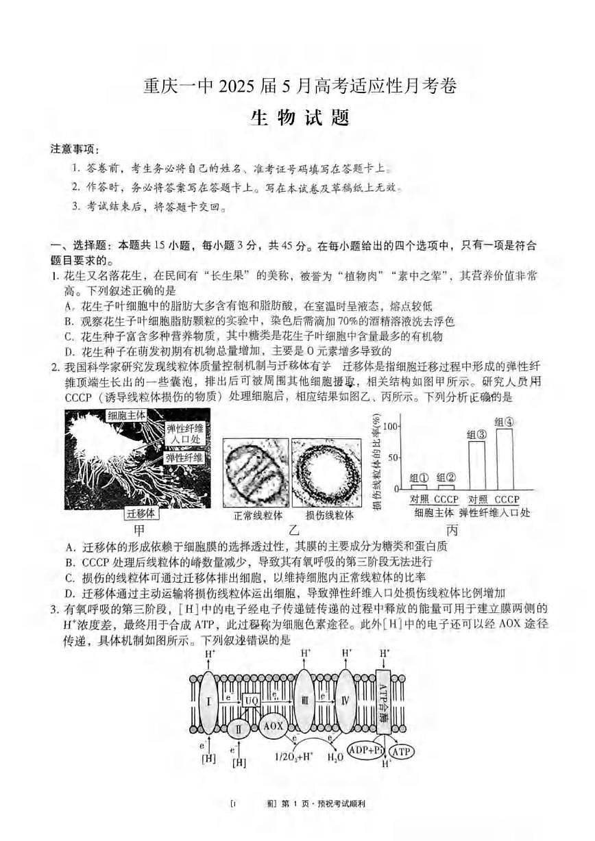 重庆市第一中学校2024-2025学年高三下学期5月适应性月考生物试卷（高考模拟）第1页