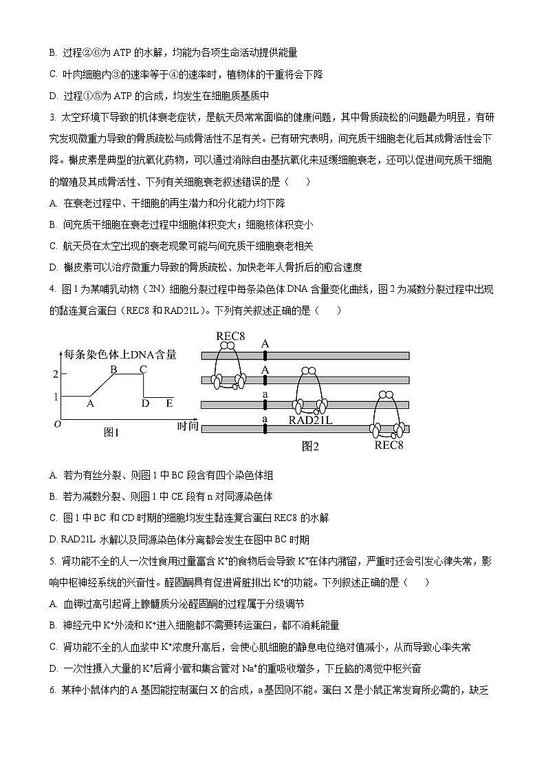 2025届四川省达州市通川区达州市高级中学校模拟预测生物试题（高考模拟）第2页