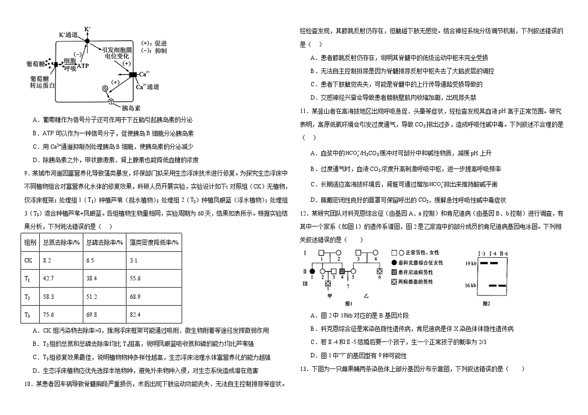 河南省驻马店市驿城区河南省驻马店高级中学2024-2025学年高三下学期5月月考生物试题（高考模拟）第3页