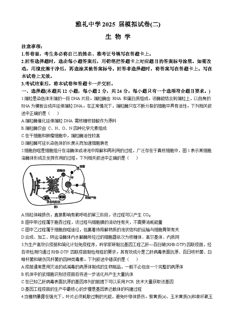 湖南省长沙市雅礼中学2024—2025学年高三下学期5月考试生物试题（高考模拟）第1页