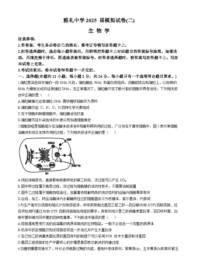 湖南省长沙市雅礼中学2024—2025学年高三下学期5月考试生物试题（高考模拟）第1页