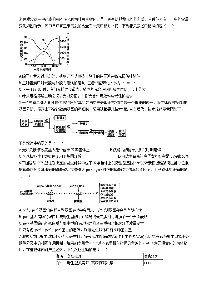 湖南省长沙市雅礼中学2024—2025学年高三下学期5月考试生物试题（高考模拟）第2页