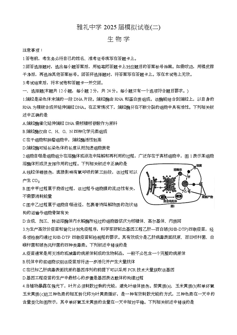 2025届5月长沙市雅礼中学高三下模拟试卷二生物第1页