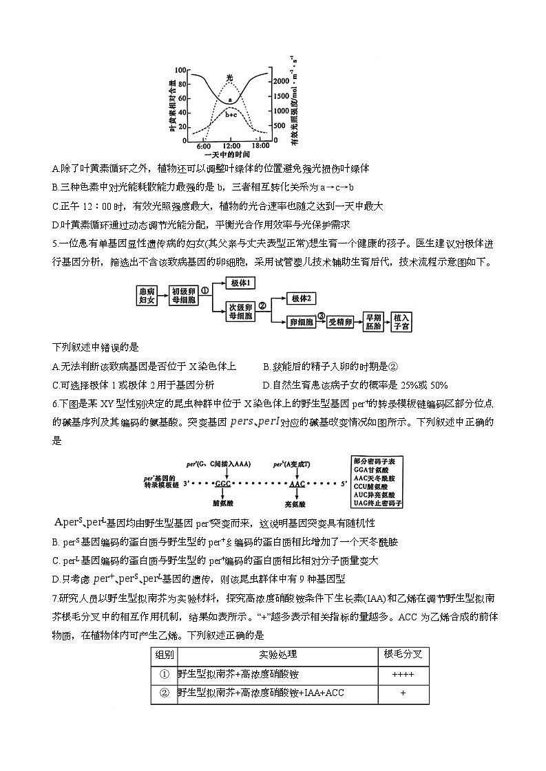 2025届5月长沙市雅礼中学高三下模拟试卷二生物第2页