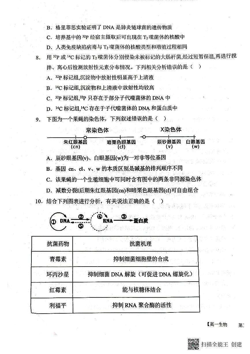 2024-2025年度第二学期陕西省韩城市象山中学高一生物第三次月考试卷第3页