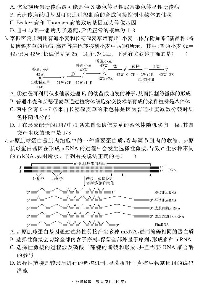 安徽省合肥一六八中学2025届高三最后一卷生物第3页