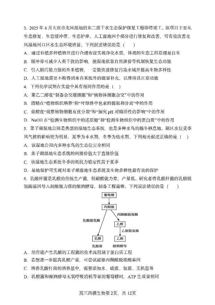 黑龙江省哈尔滨市第三中学校2025届高三第四次模拟考试生物第2页
