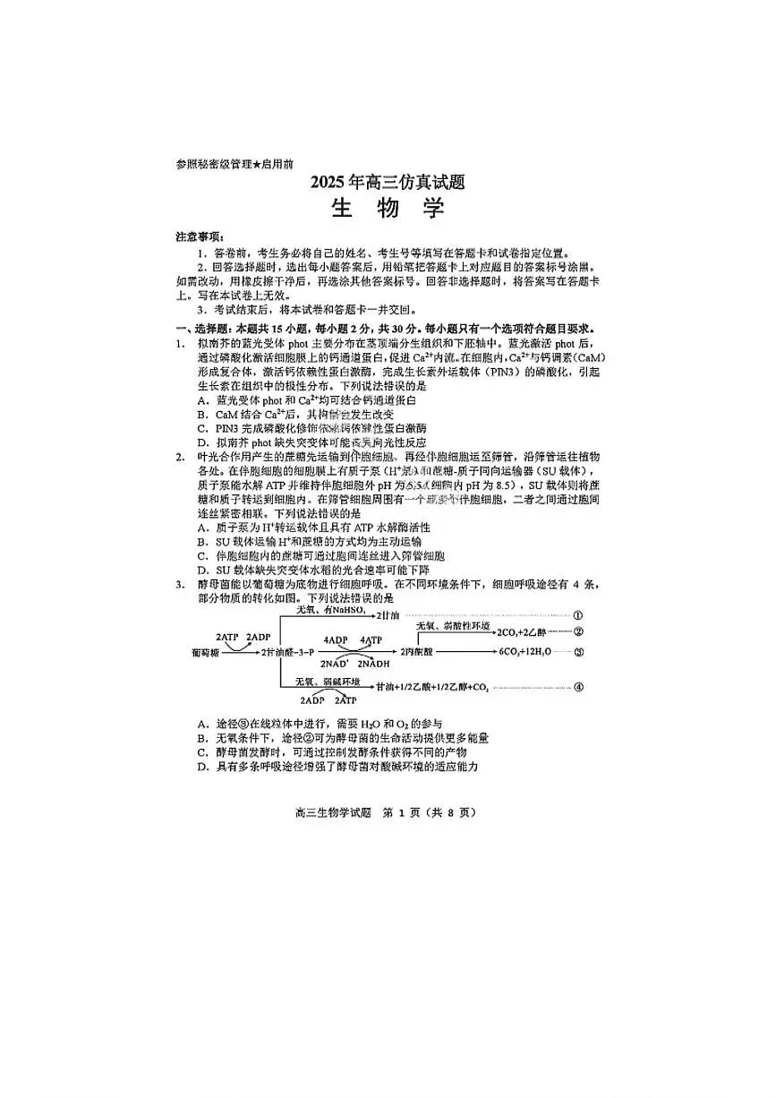 2025年山东省淄博市高三生物三模高考试题及其答案解析第1页