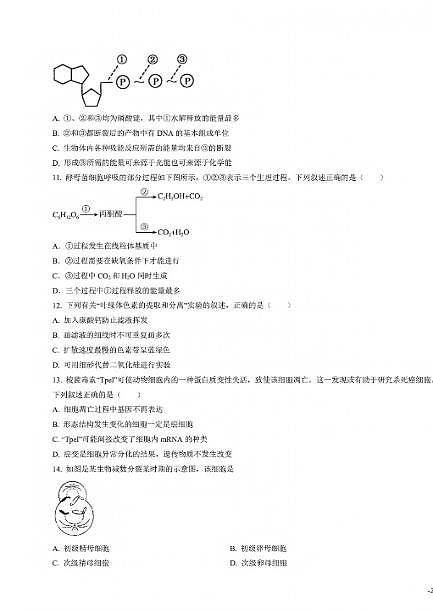 2025年山东省夏季普通高中学业水平合格模拟考试生物试题及其答案第3页