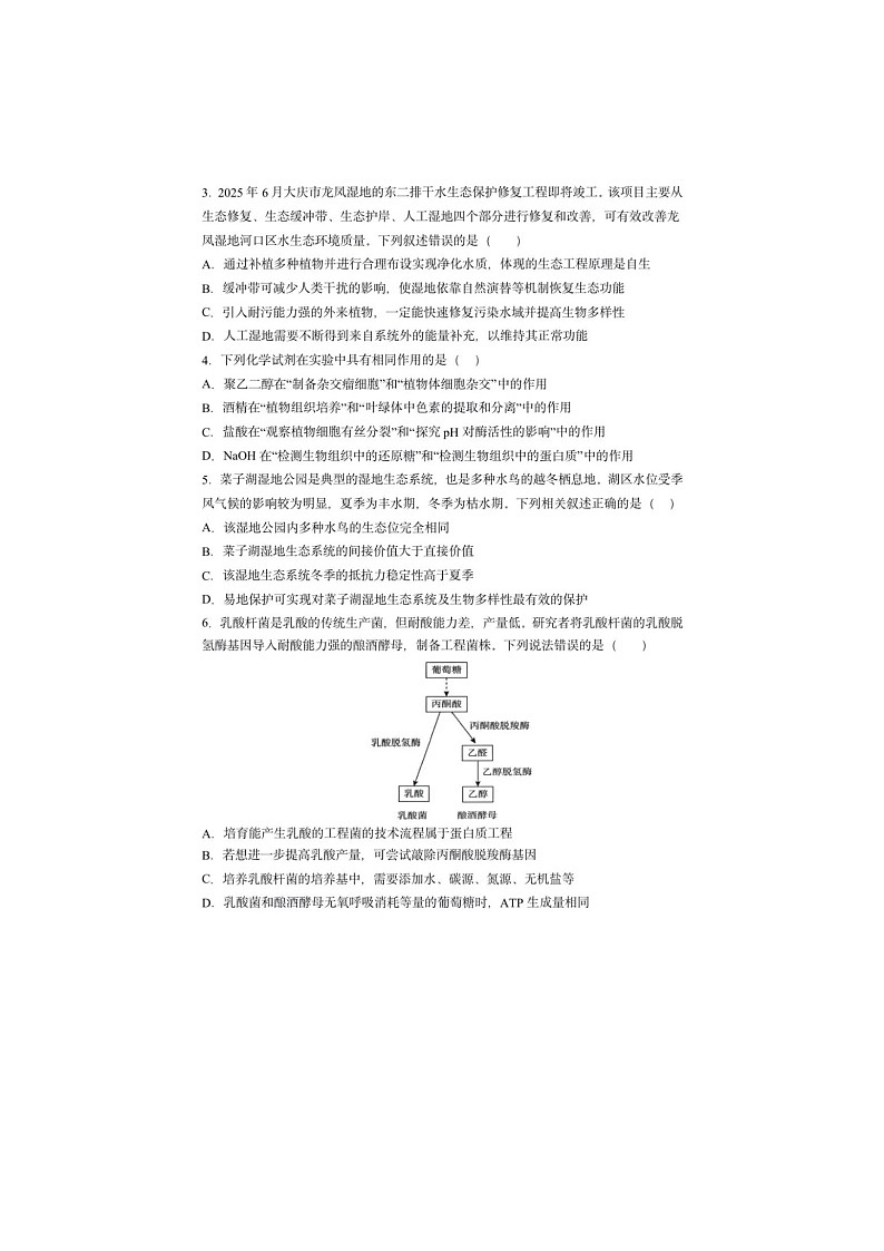 黑龙江省哈三中2024-2025学年高三下期四模考试生物试卷含答案第2页