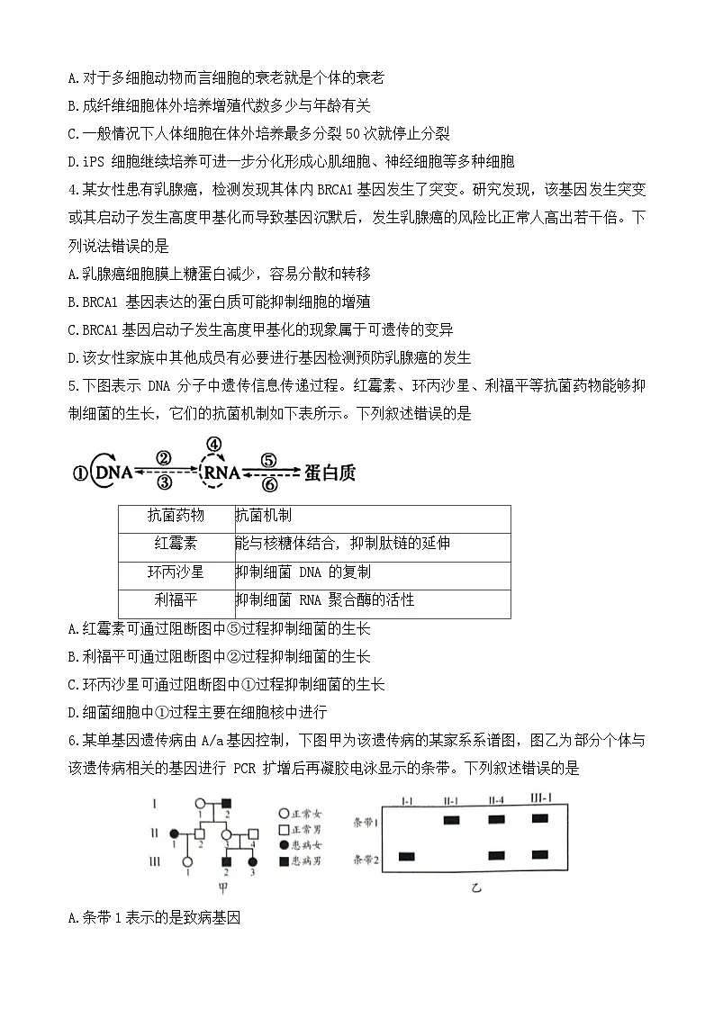 贵州省安顺市2023-2024学年高二下学期期末教学质量监测考试生物试题第2页
