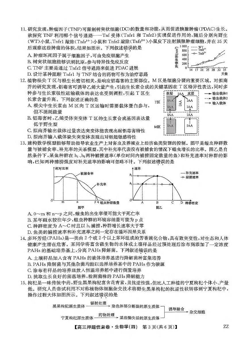 九师联盟2025届高三押题信息卷（四）生物试卷第3页
