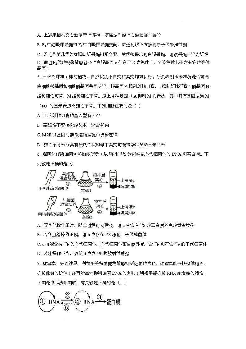 湖北省黄冈市蕲春县第一高级中学2024-2025学年高一下学期5月月考生物试题第2页