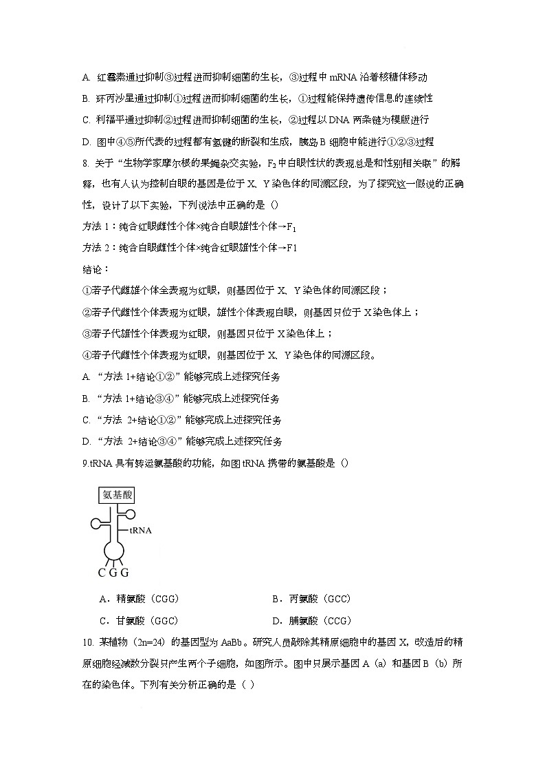 湖北省黄冈市蕲春县第一高级中学2024-2025学年高一下学期5月月考生物试题第3页