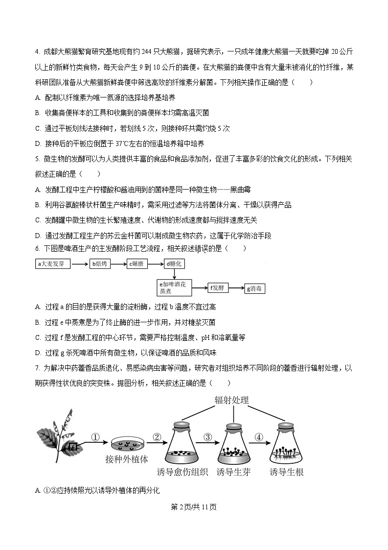 四川省绵阳市涪城区绵阳南山中学实验学校2024-2025学年高二下学期期中生物试题（原卷版）第2页