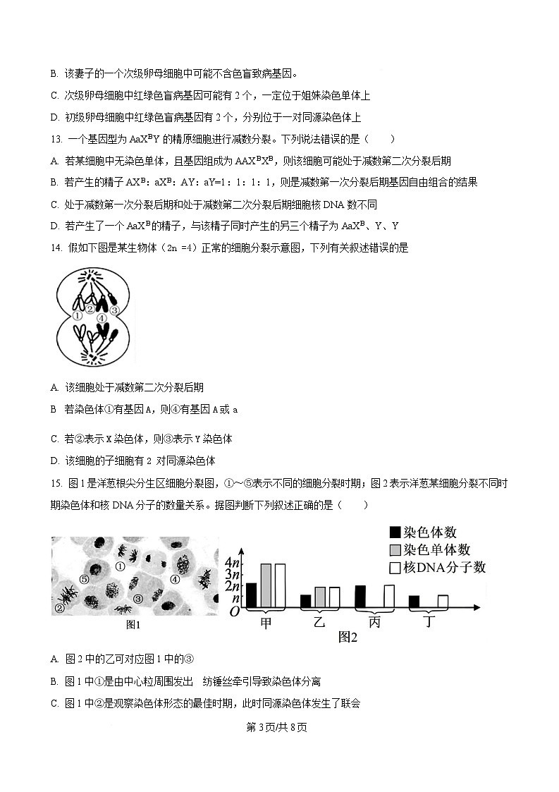 四川省内江市第六中学2024-2025学年高一下学期期中考试生物试题（原卷版）第3页