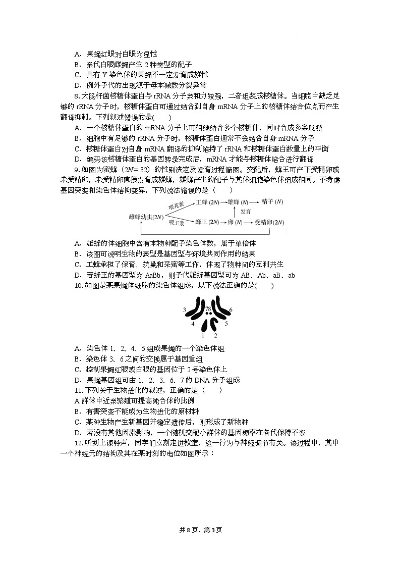 高三生物试题考试板第3页