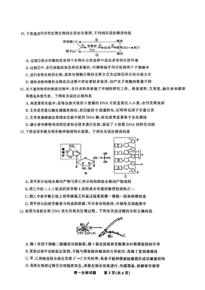 安徽省皖江名校2024-2025学年高一下学期5月月考生物试题（PDF版附解析）第3页