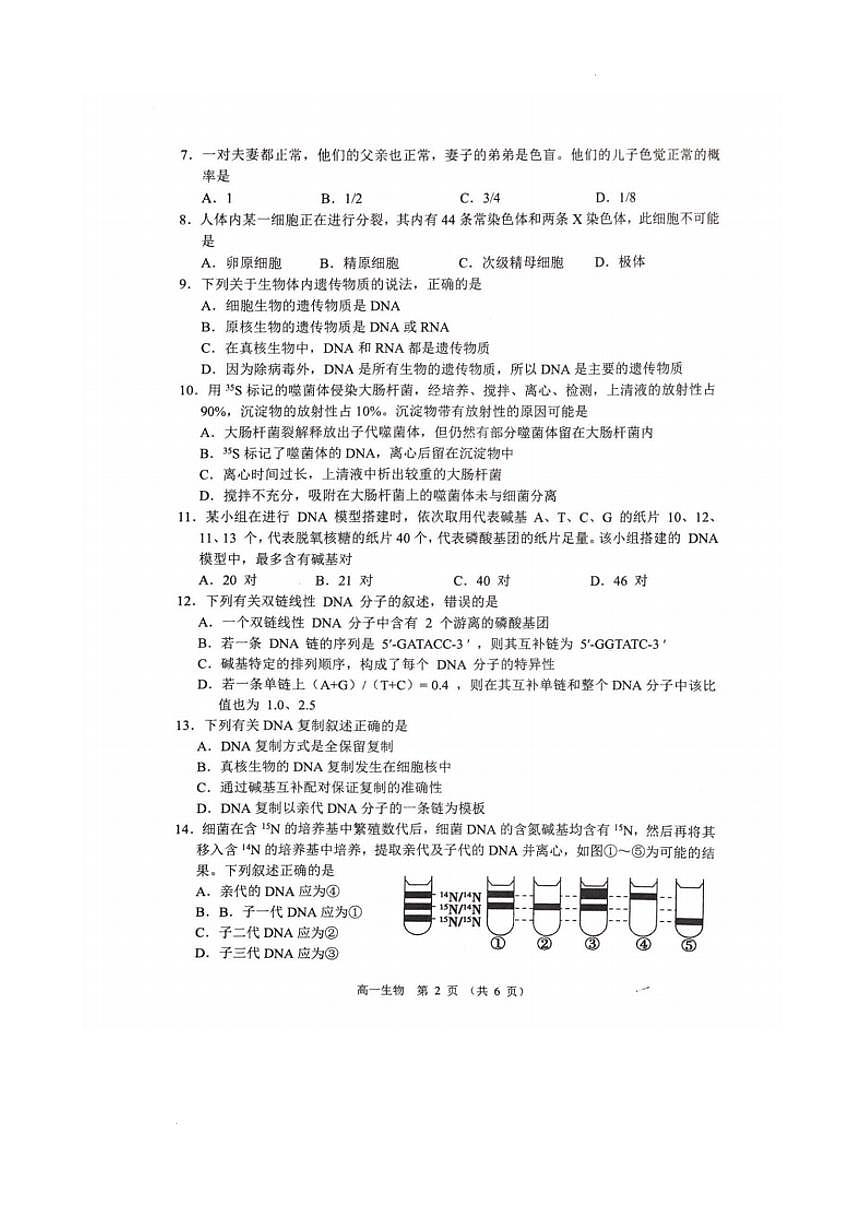 江苏省宿迁市沭阳县2024-2025学年高一下学期期中考试生物试题（PDF版附答案）第2页