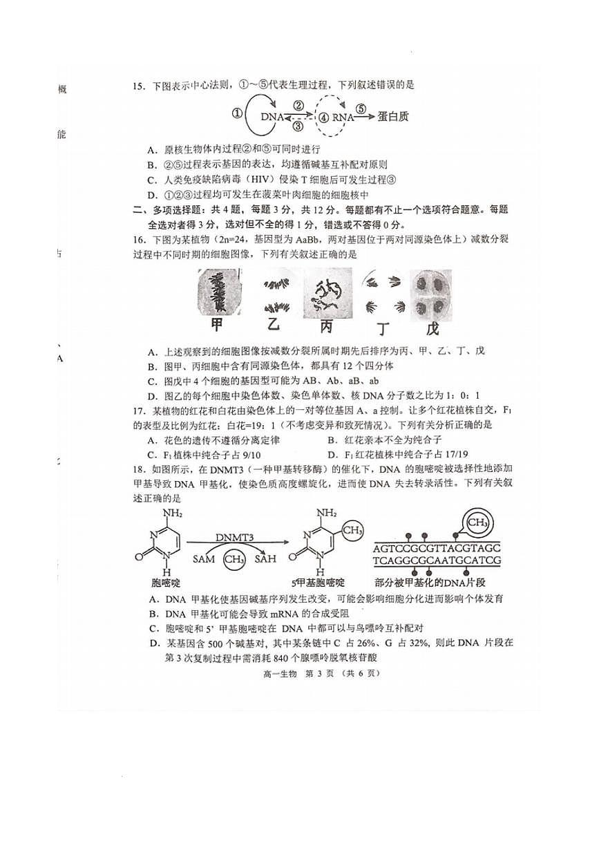 江苏省宿迁市沭阳县2024-2025学年高一下学期期中考试生物试题（PDF版附答案）第3页