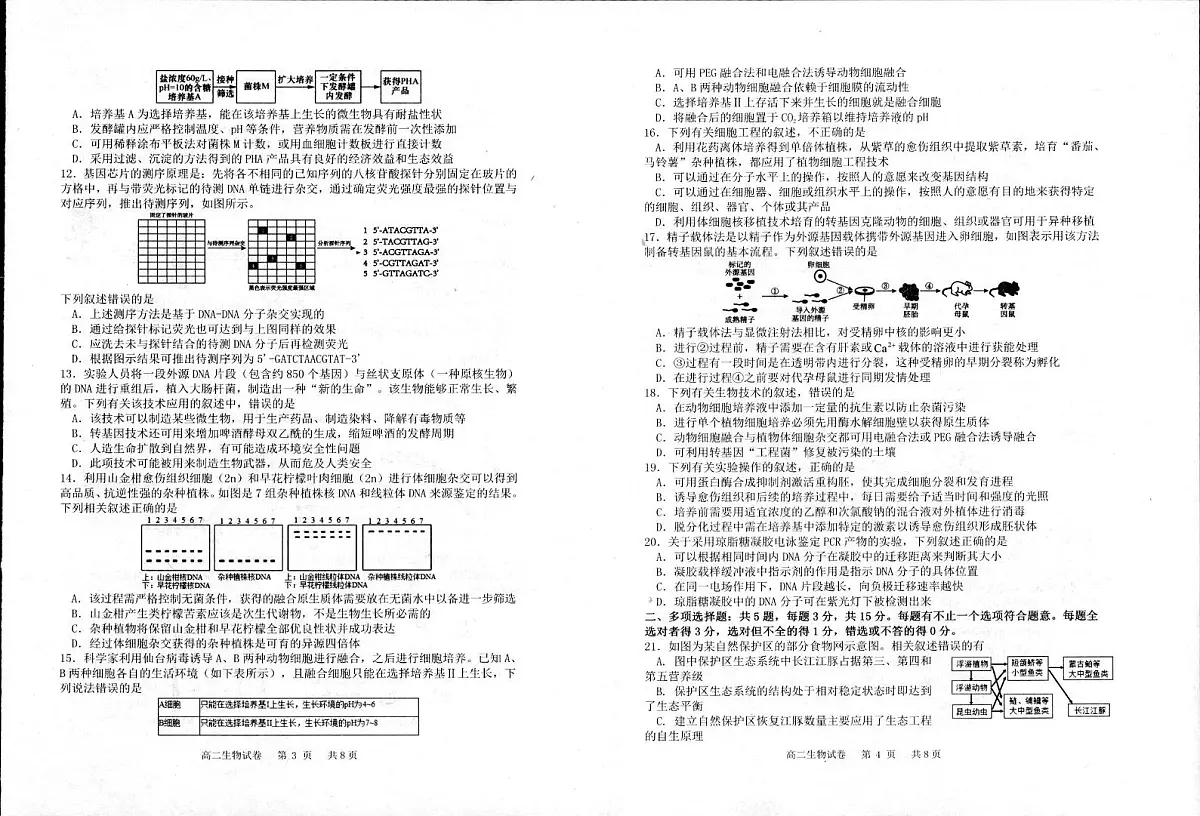 江苏省宿迁市泗阳县2024-2025学年高二下学期期中考试生物试题（PDF版附答案）第2页
