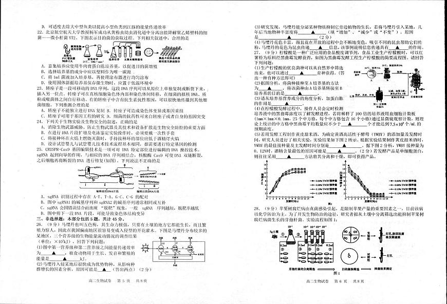 江苏省宿迁市泗阳县2024-2025学年高二下学期期中考试生物试题（PDF版附答案）第3页