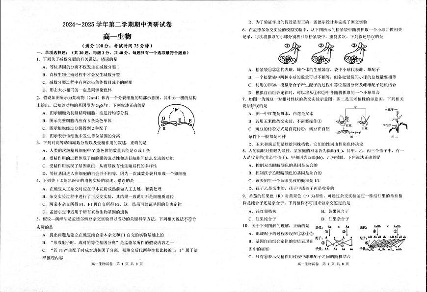江苏省宿迁市泗阳县2024-2025学年高一下学期期中考试生物试题（PDF版附答案）第1页