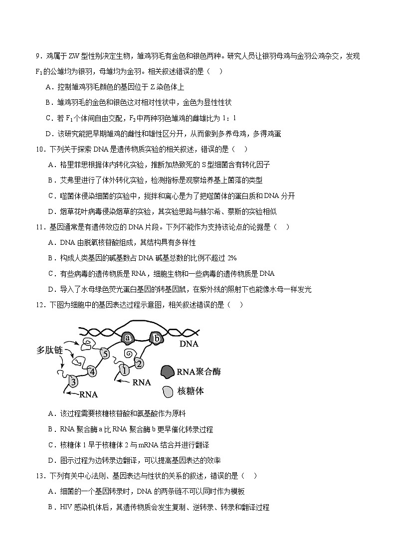 江苏省镇江市丹阳市、南通市2024-2025学年高一下学期期中考试生物试题（Word版附答案）第3页