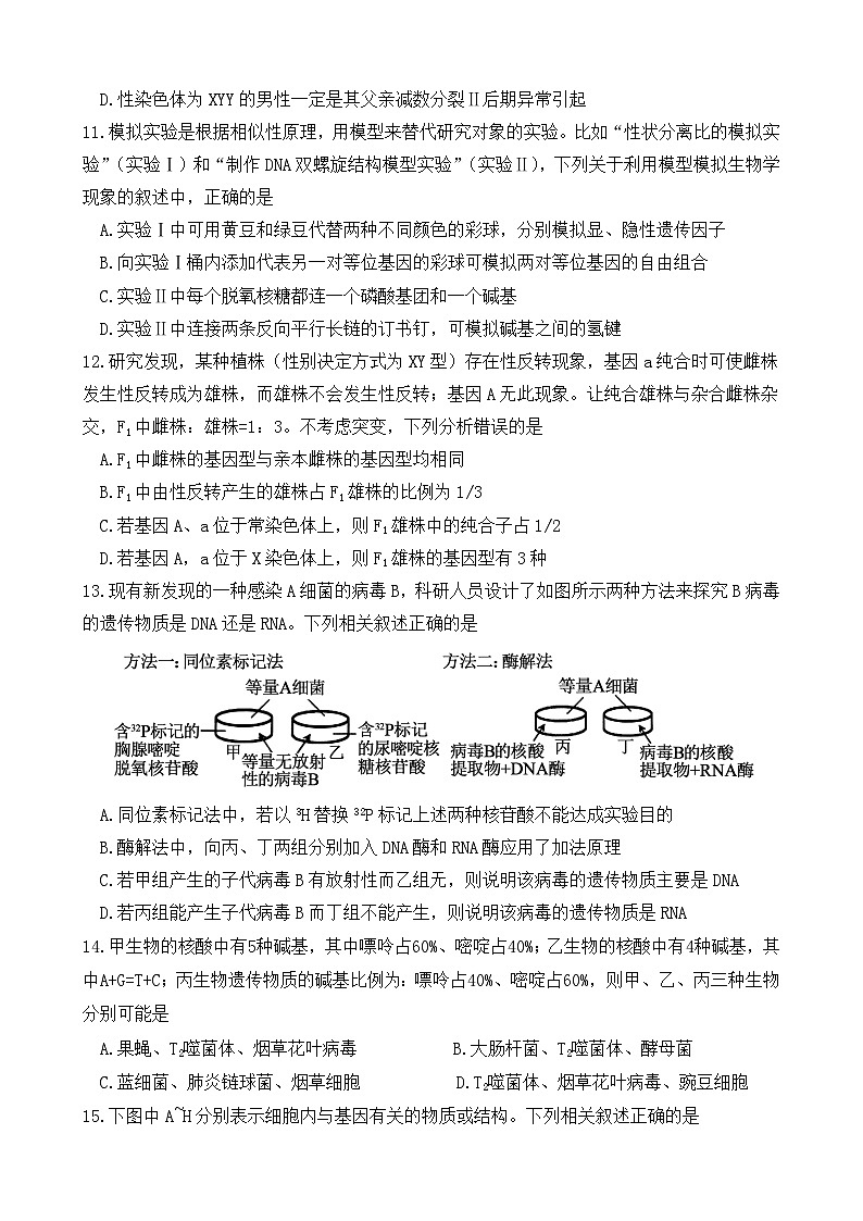 四川省广元市直属普通高中2024-2025学年高一下学期期中考试生物试题（Word版附答案）第3页